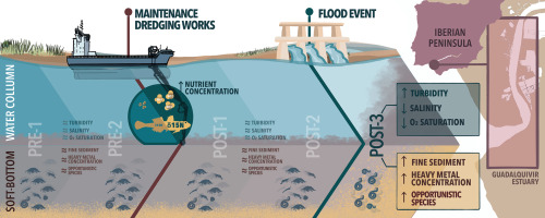 An application scenario or product detail of dredging environmental impact - Image 15